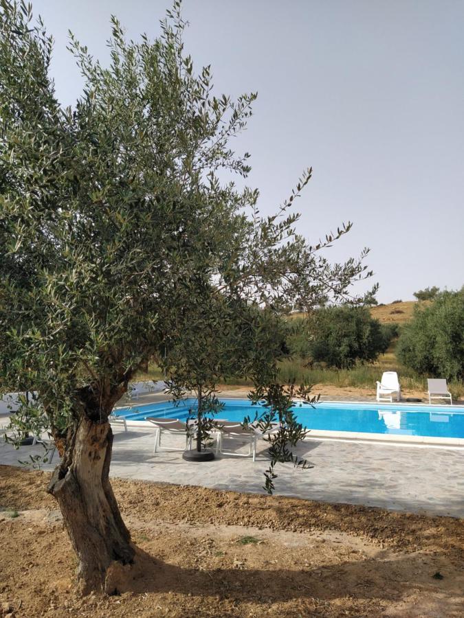 Quinta Da Fortaleza Farm stay Elvas